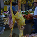 P1000688.JPG
